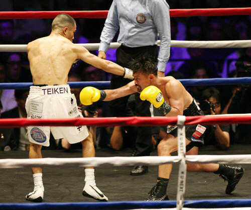 WBA世界バンタム級王座決定戦 3回、打ち合う増田陸(左)と比嘉大吾(撮影・宮地輝)