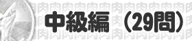 銀（中級編）（２９問）