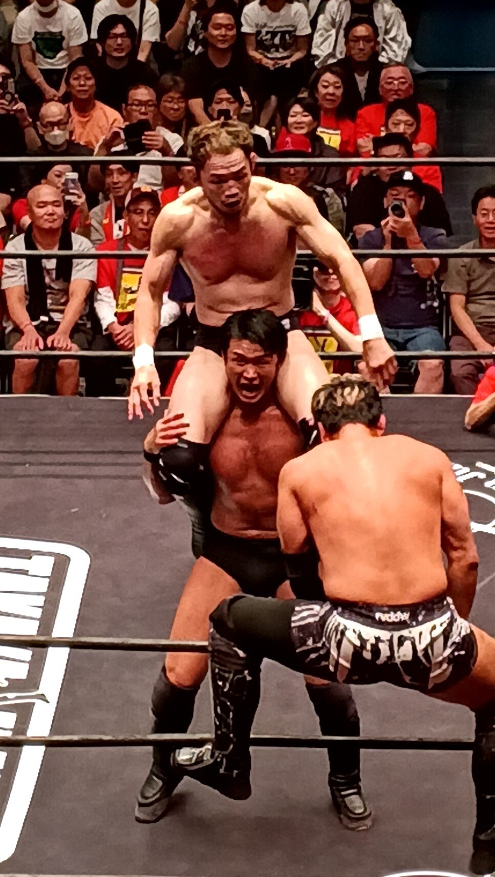 柴田勝頼に担がれ、KENTA（手前）との合体技を決められそうになる宇野薫