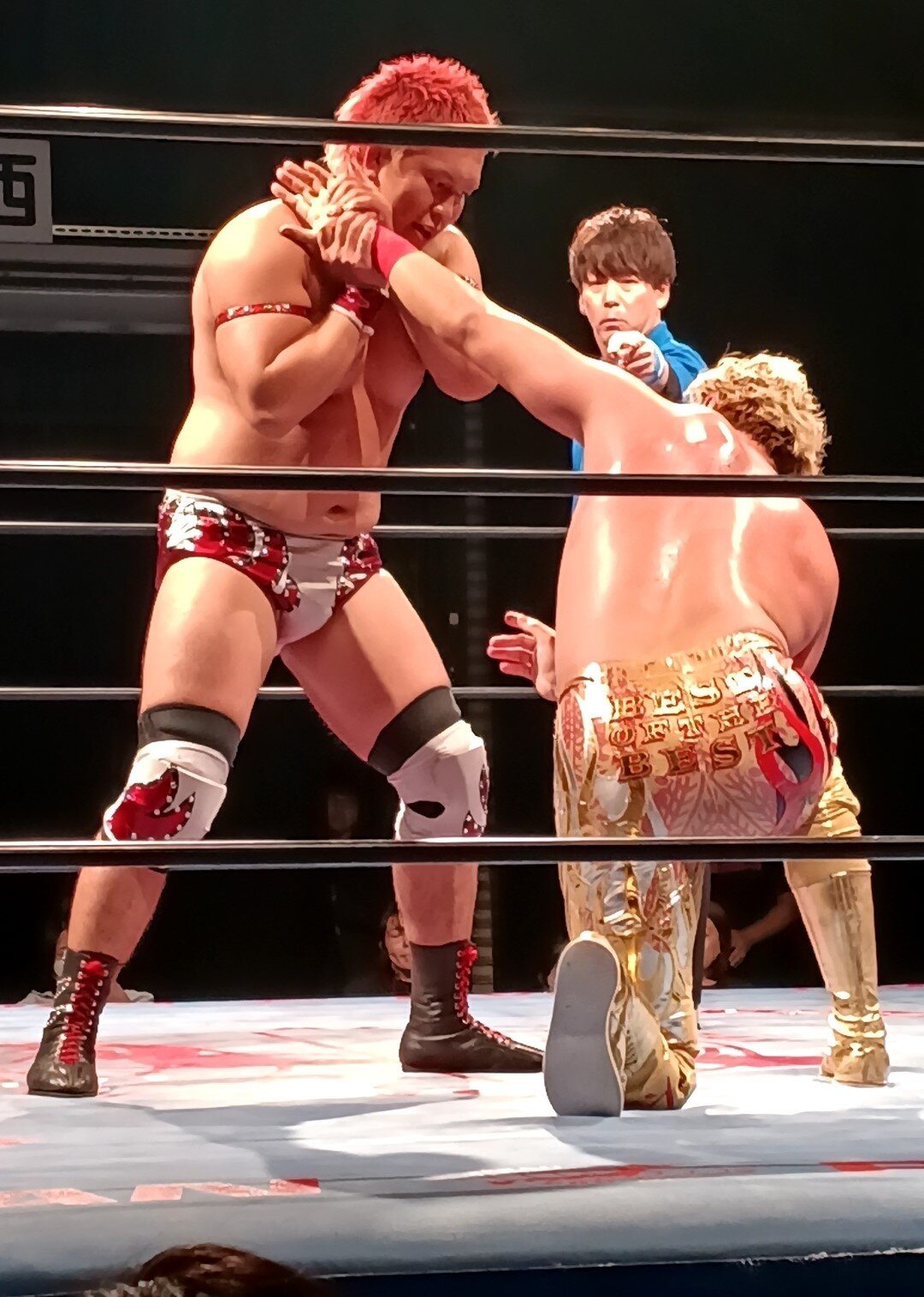 宮原健斗（右）の腕をひねる本田竜輝