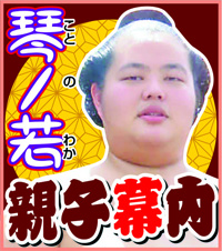 琴ノ若