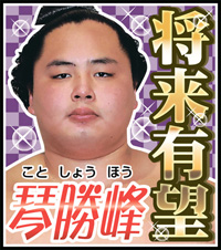 第9回大相撲総選挙