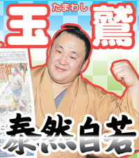 玉鷲