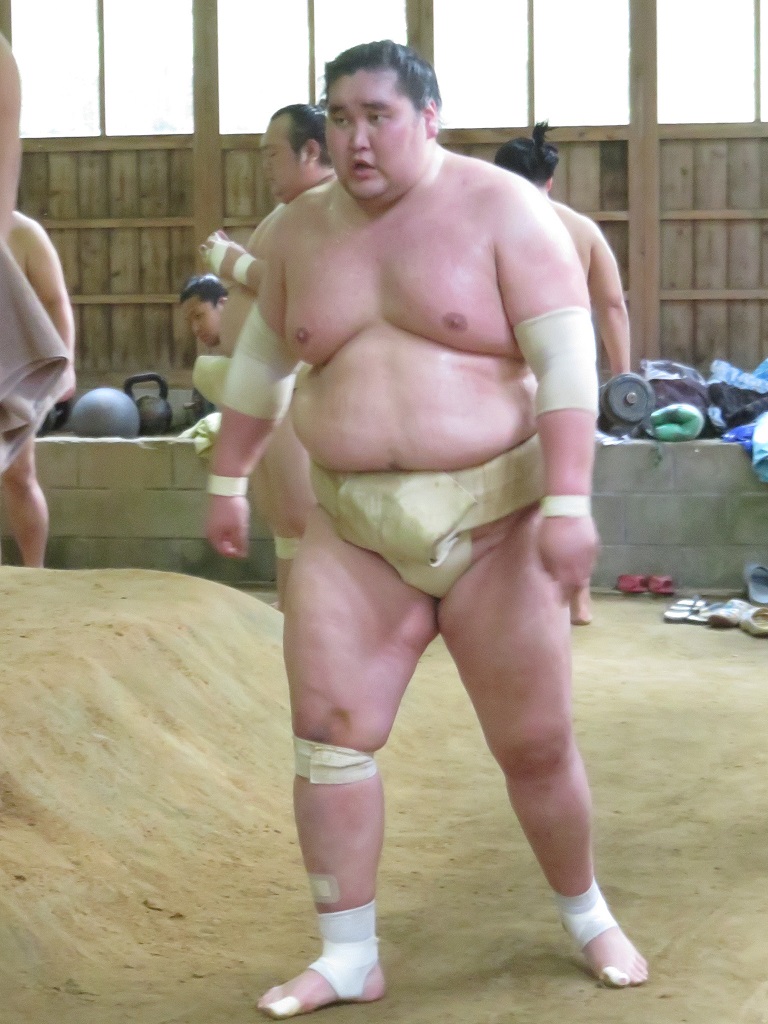 照ノ富士が再出場 親方「稽古もしている」 - 大相撲 : 日刊スポーツ