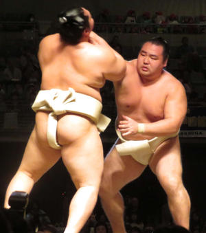 鶴竜が遠藤に土つかず13連勝、ケガ体験談も助言 - 大相撲 : 日刊スポーツ