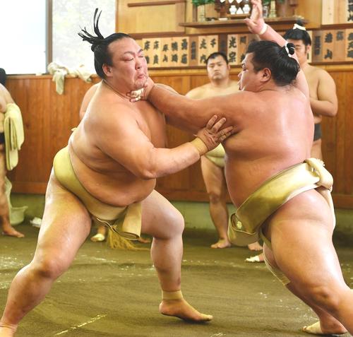 阿武咲 稀勢の里と稽古 他の人と違う 舌巻く 大相撲 日刊スポーツ