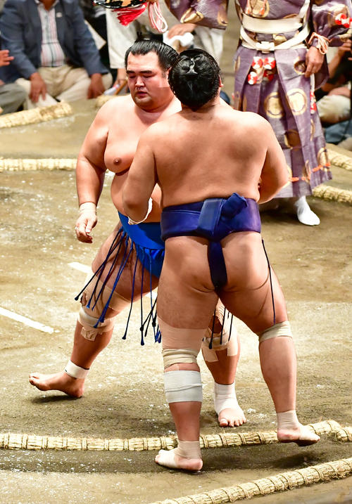 琴奨菊（左）は寄り切りで栃煌山を下す（撮影・小沢裕）
