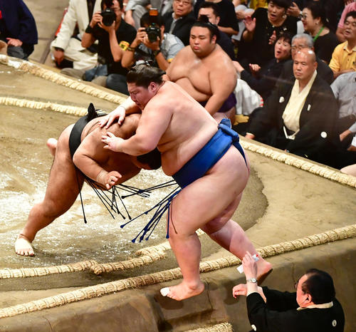 高安（左）は押し出しで逸ノ城を下す（撮影・小沢裕）