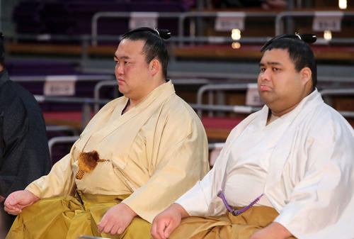 稀勢の里は平常心強調「最後までしっかり努めきる」 - 大相撲写真ニュース : 日刊スポーツ