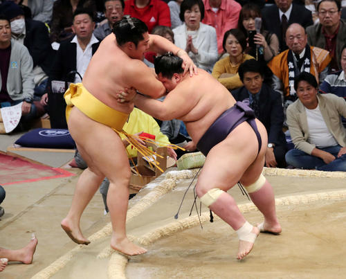 遠藤(左)を押し出しで破る阿武咲(撮影・鈴木正人)