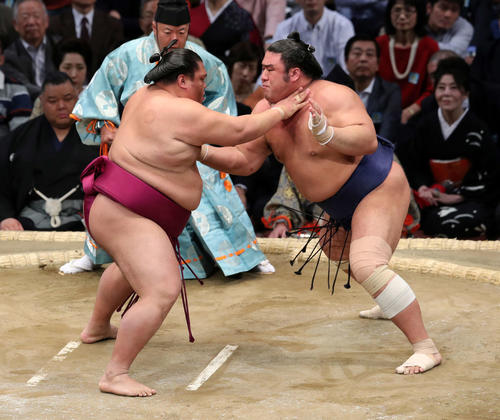 御嶽海(左)に激しく攻める栃煌山(撮影・鈴木正人)