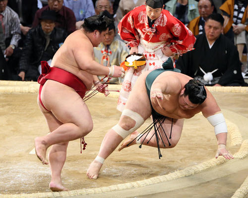 九州場所 豊山(右)に突き落としで勝利した大栄翔(撮影・栗木一考)
