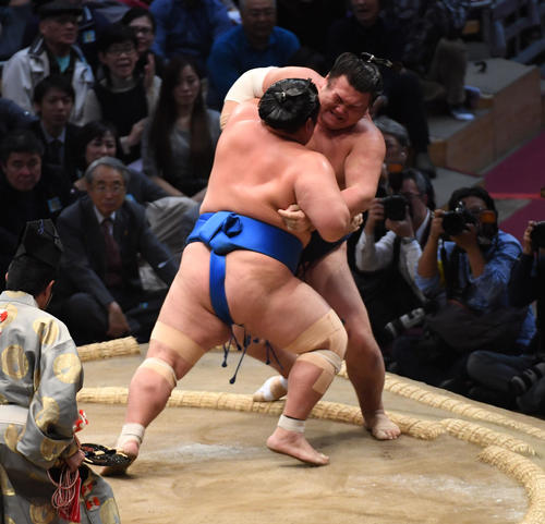 大相撲九州場所 勢を寄り切りで破る琴奨菊(撮影・今浪浩三)