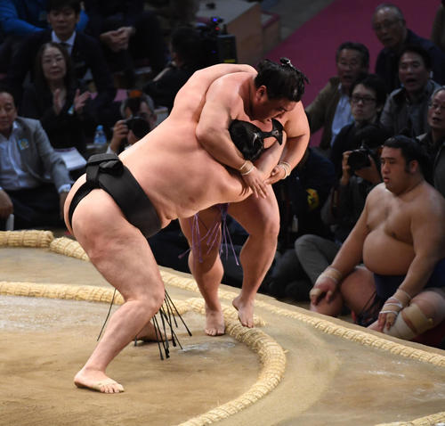 九州場所2日目 嘉風を押し出しで破る竜電(撮影・今浪浩三)