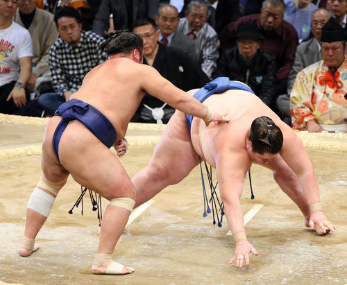 九州場所 逸ノ城(右)に引き落としで勝利する栃煌山(撮影・栗木一考)