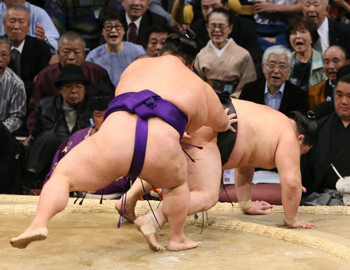 九州場所 豪栄道(左)に突き落としで勝利する貴景勝(撮影・栗木一考)