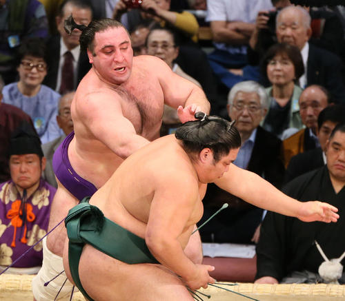 九州場所 錦木(手前)に寄り切りで勝利する栃ノ心(撮影・栗木一考)