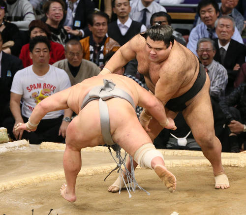 九州場所 北勝富士(手前)をはたき込みで下す高安(撮影・栗木一考)