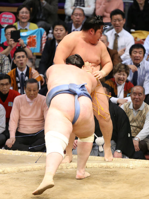 大相撲九州場所 碧山は突き出しで遠藤を下す(撮影・菊川光一)