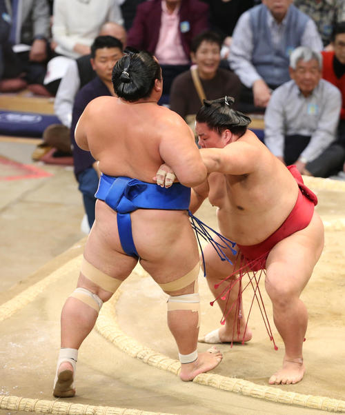 大相撲九州場所 琴奨菊を寄りきりで下す大栄翔(撮影・菊川光一)