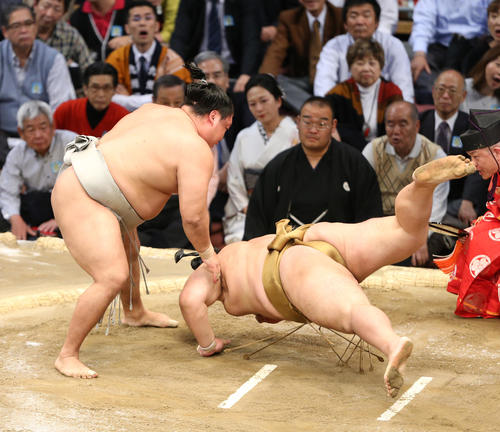大相撲九州場所 貴ノ岩は突き落としで輝を下す(撮影・菊川光一)
