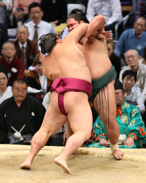 大相撲九州場所 御嶽海は寄り切りで錦木を下す(撮影・菊川光一)