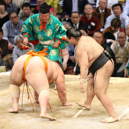 高安ははたき込みで魁聖を下す(撮影・菊川光一)