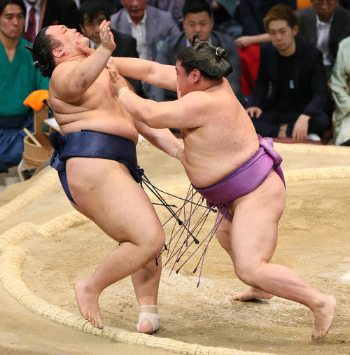 朝乃山(左)に押し出しで勝利する嘉風(撮影・栗木一考)