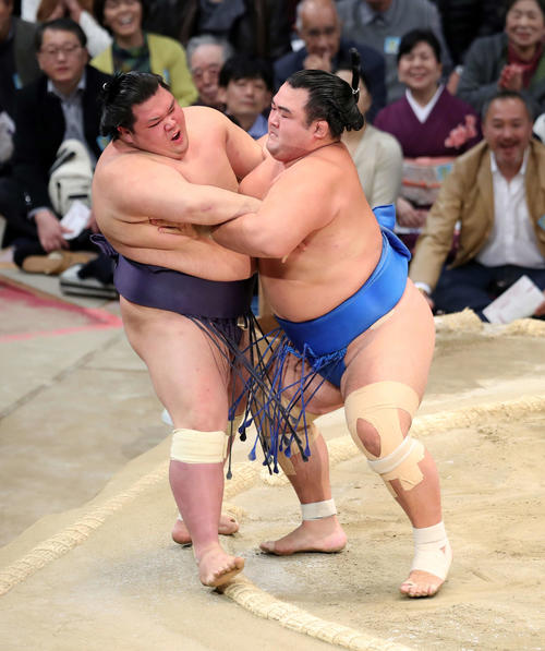 阿武咲（左）をきめ出しで破る琴奨菊（撮影・鈴木正人）
