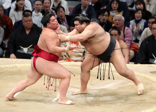 大栄翔（左）に激しく攻める高安（撮影・鈴木正人）