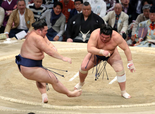 朝乃山（左）を押し倒しで破る栃煌山（撮影・鈴木正人）