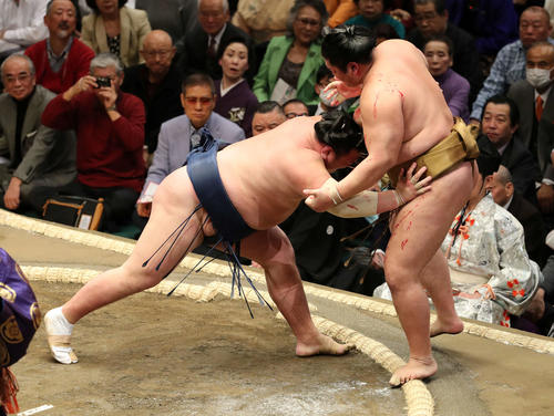 輝(右)を押し倒しで破る勢(撮影・鈴木正人)