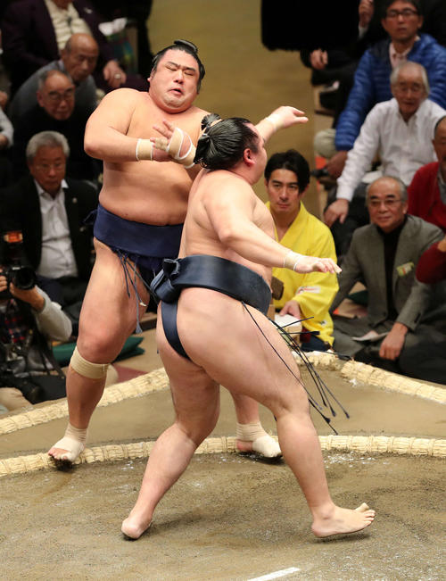 栃煌山(後方)を突き出しで破る鶴竜(撮影・鈴木正人)