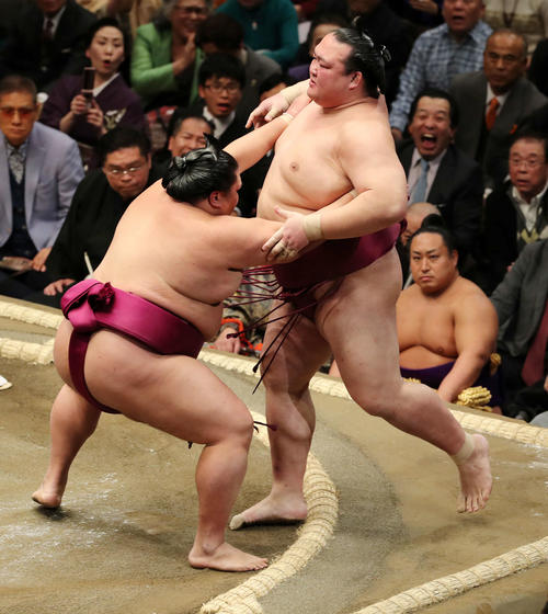 稀勢の里(左)を押し出しで破った御嶽海(撮影・鈴木正人)