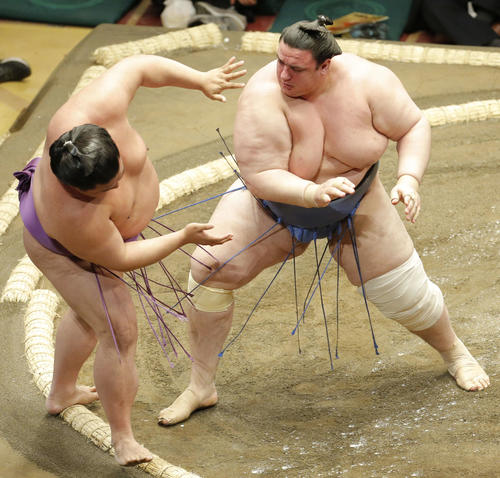 嘉風(左)を押し出しで下す碧山(撮影・河田真司)