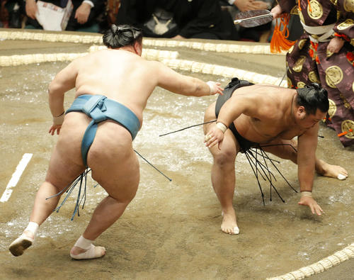 松鳳山(右)を突き落としで下す琴玉鷲(撮影・河田真司)