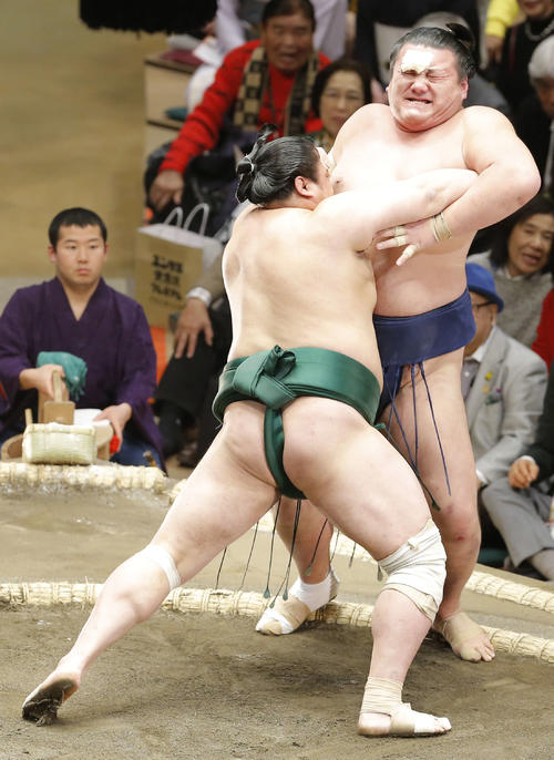佐田の海(左)に寄り切りで敗れる勢(撮影・河田真司)
