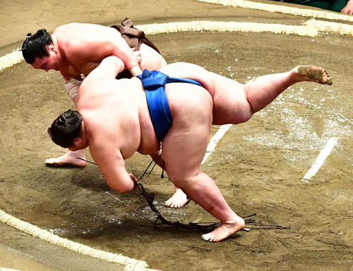 白鵬は逸ノ城(右)を上手投げで下す(撮影・小沢裕)