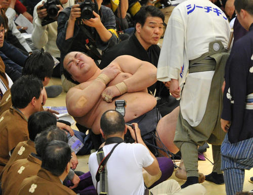 17年3月、大相撲春場所　13日目　土俵下に転落した稀勢の里は、苦痛に顔をゆがめる