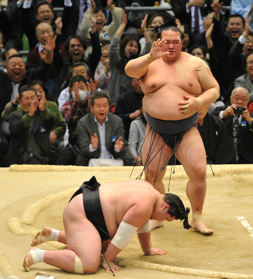 17年3月、大相撲春場所　千秋楽　照ノ富士を突き落としで破る稀勢の里