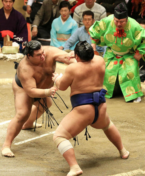 栃煌山（右）を突き出しで破る高安（撮影・江口和貴）