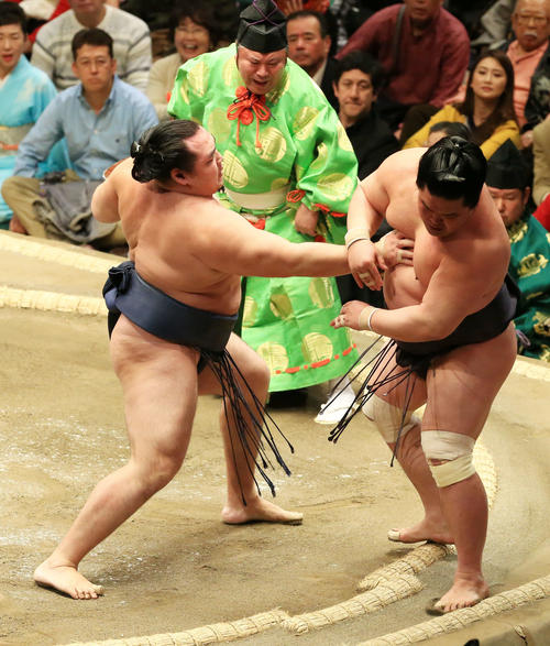 妙義龍（右）を押し出しで破る鶴竜（撮影・江口和貴）