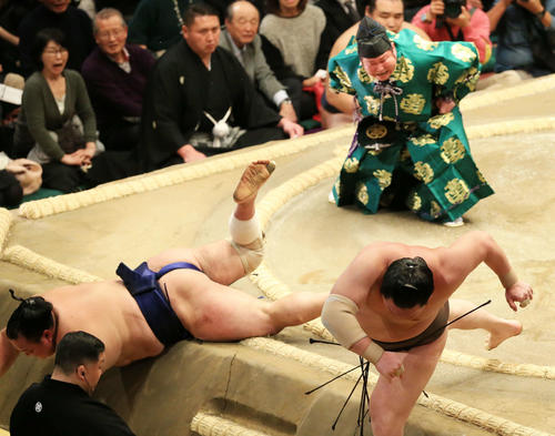 北勝富士（左）を突き落としで破る白鵬（撮影・江口和貴）