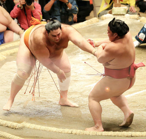大栄翔（右）を押し倒しで破る魁聖（撮影・江口和貴）
