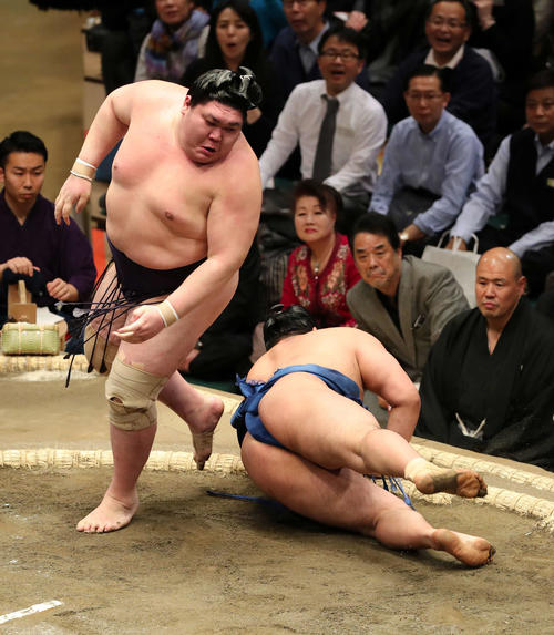千代の国(右)を引き落としで破る矢後(撮影・鈴木正人)