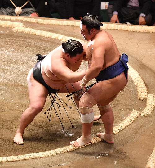 豪栄道(左)は栃煌山を寄り切りで破る(撮影・柴田隆二)