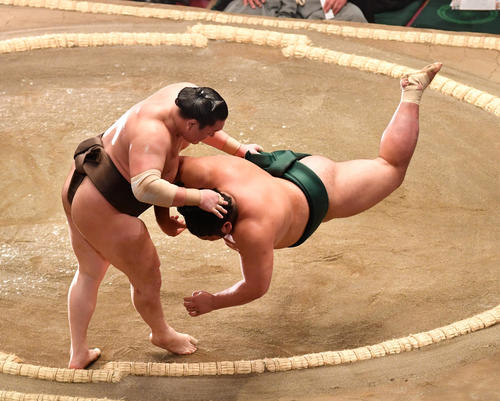 白鵬(左)は錦木を上手投げで破る(撮影・柴田隆二)