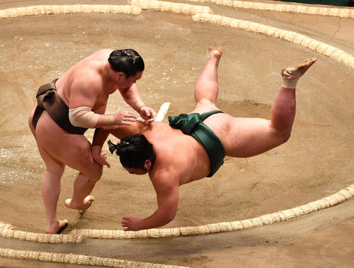 白鵬(左)は錦木を上手投げで破る(撮影・柴田隆二)