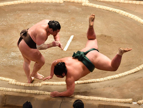 白鵬(左)は錦木を上手投げで破る(撮影・柴田隆二)