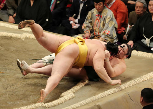 佐田の海(下)を浴びせ倒しで破る遠藤(撮影・鈴木正人)